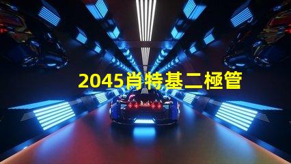 2045肖特基二極管參數(shù)揭秘其性能與應(yīng)用優(yōu)勢