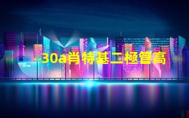 30a肖特基二極管高效能與耐壓性能的最佳選擇