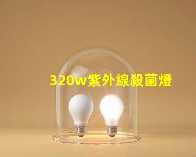 320w紫外線殺菌燈高效消毒解決方案揭秘