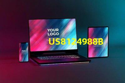 US8124988B2專利授權(quán)評(píng)估方法專利價(jià)值分析與審核流程詳解
