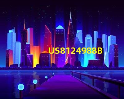 US8124988B2專利權利爭議解決專利糾紛處理指南