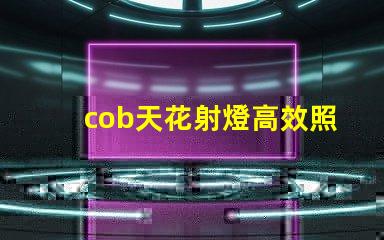 cob天花射燈高效照明解決方案的選擇