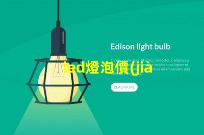 led燈泡價(jià)格表全面解析市場(chǎng)價(jià)格與性能對(duì)比