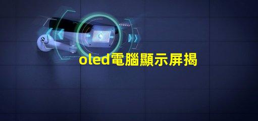 oled電腦顯示屏揭示OLED顯示屏的優(yōu)勢及應用前景