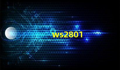 ws2801