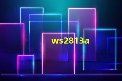 ws2813a