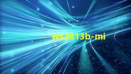 ws2813b-mini