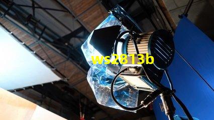 ws2813b