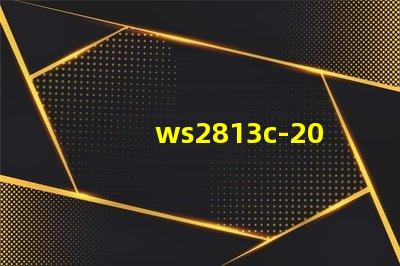 ws2813c-2020