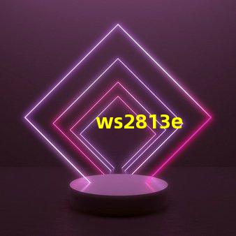 ws2813e
