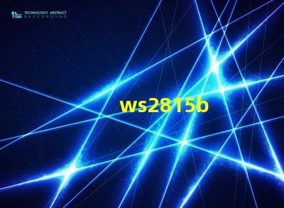 ws2815b