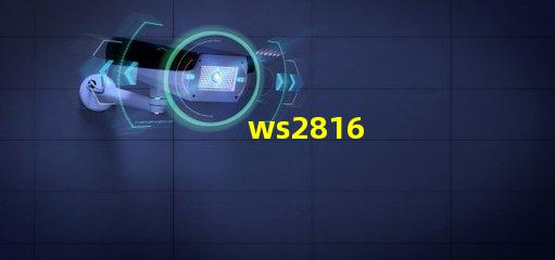 ws2816