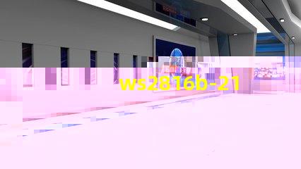 ws2816b-2121