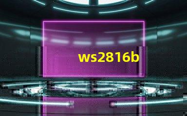 ws2816b