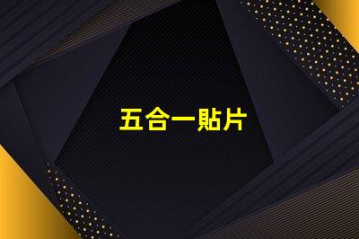 五合一貼片
