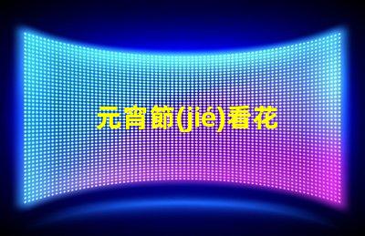 元宵節(jié)看花燈作文探索傳統(tǒng)文化的魅力與意義