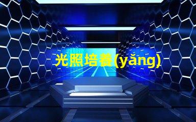 光照培養(yǎng)箱提高植物生長效率的關(guān)鍵設(shè)備