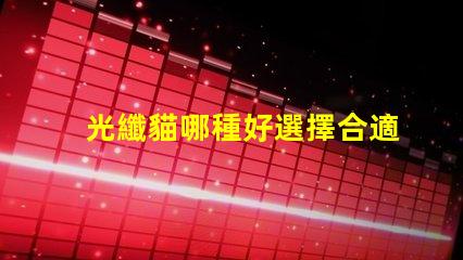 光纖貓哪種好選擇合適光纖貓的終極指南