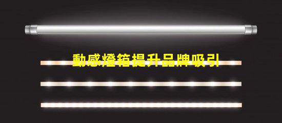 動感燈箱提升品牌吸引力的絕佳選擇