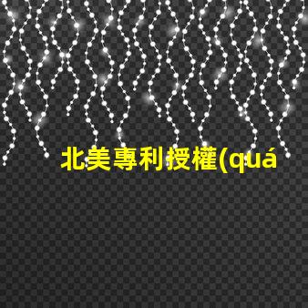 北美專利授權(quán)1515燈珠us8124988b2技術(shù)亮點詳解
