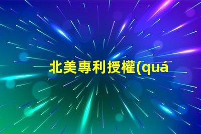 北美專利授權(quán)3210燈珠us8124988b2核心技術(shù)解析