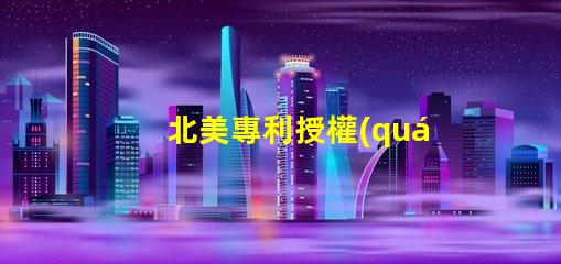 北美專利授權(quán)4020燈珠us8124988b2專利技術(shù)解讀,這款燈珠有何獨特之處