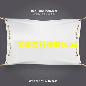 北美專利授權(quán)5018燈珠us8124988b2核心技術(shù)揭秘