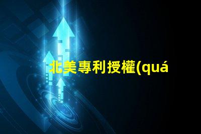 北美專利授權(quán)5050燈珠us8124988b2核心技術(shù)解讀