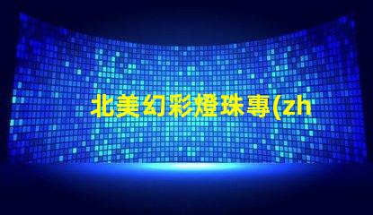 北美幻彩燈珠專(zhuān)利權(quán)利保護(hù)LED創(chuàng)新技術(shù)專(zhuān)利防護(hù)指南