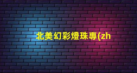 北美幻彩燈珠專(zhuān)利法律糾紛與市場(chǎng)機(jī)遇分析
