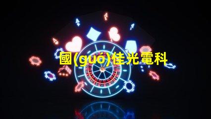 國(guó)佳光電科技有限公司