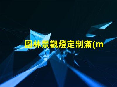 園林景觀燈定制滿(mǎn)足獨(dú)特需求的定制解決方案