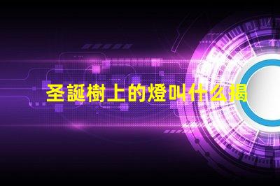 圣誕樹上的燈叫什么揭秘圣誕樹燈光的種類與選擇