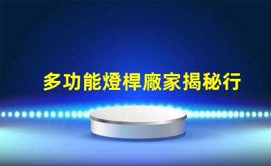 多功能燈桿廠家揭秘行業(yè)領(lǐng)先的智能照明解決方案