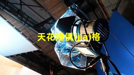 天花燈價(jià)格如何選擇性價(jià)比高的天花燈