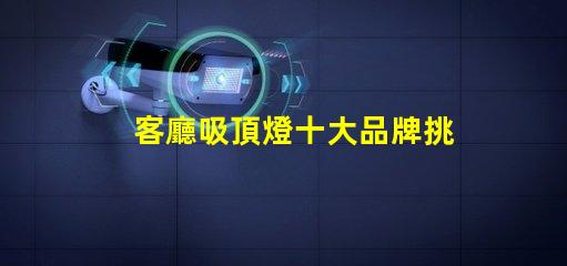 客廳吸頂燈十大品牌挑選優(yōu)質(zhì)品牌的實(shí)用指南