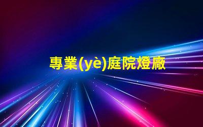 專業(yè)庭院燈廠家打造高效照明解決方案的行業(yè)領(lǐng)軍者