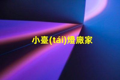 小臺(tái)燈廠家提高生產(chǎn)效率的最佳選擇嗎