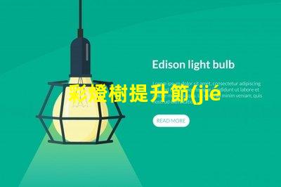 彩燈樹提升節(jié)日氛圍的創(chuàng)意裝飾選擇