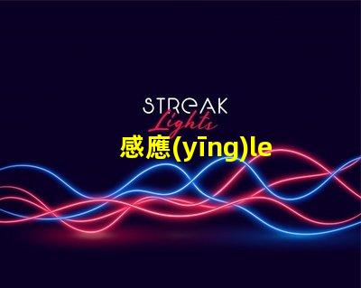 感應(yīng)led燈管提升照明效率的智能解決方案