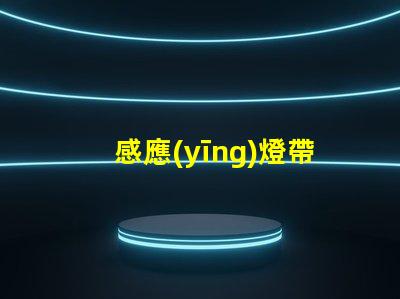 感應(yīng)燈帶智能照明解決方案的未來(lái)