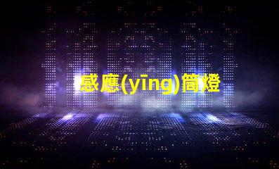 感應(yīng)筒燈廠家探索最新的感應(yīng)筒燈制造技術(shù)