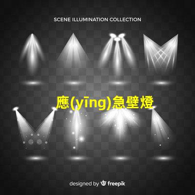 應(yīng)急壁燈探秘應(yīng)急照明解決方案的關(guān)鍵選擇