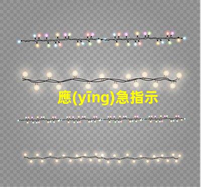 應(yīng)急指示標志燈確保安全的關(guān)鍵亮點