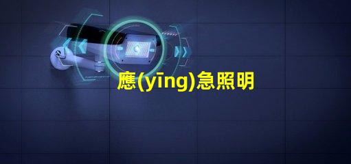 應(yīng)急照明如何提升安全性與可靠性應(yīng)急照明解決方案解析