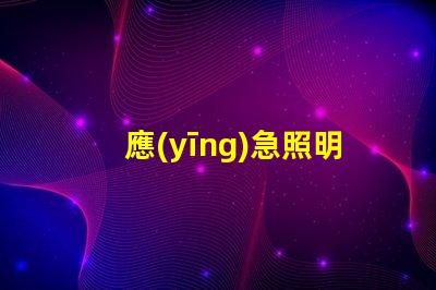 應(yīng)急照明控制器確保安全的智能解決方案