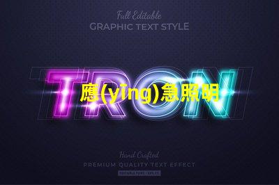 應(yīng)急照明燈和疏散指示燈緊急情況下的安全指引解決方案