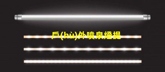 戶(hù)外噴泉燈提升夜間景觀的最佳照明選擇嗎