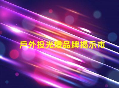 戶外投光燈品牌揭示市場(chǎng)領(lǐng)先品牌的秘密