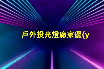 戶外投光燈廠家優(yōu)質(zhì)產(chǎn)品與競爭力分析